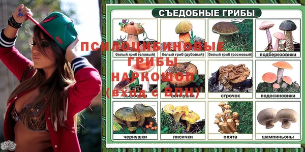 PSILOCYBIN Аркадак