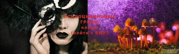PSILOCYBIN Аркадак