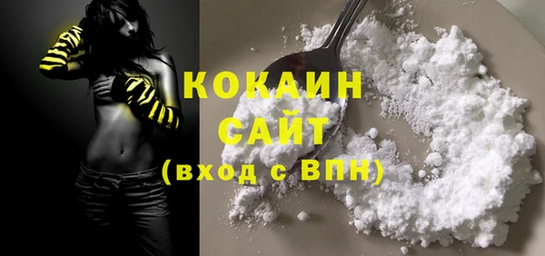 PSILOCYBIN Аркадак