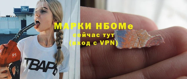 ПСИЛОЦИБИНОВЫЕ ГРИБЫ Арсеньев