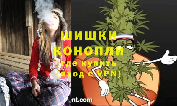 ПСИЛОЦИБИНОВЫЕ ГРИБЫ Арсеньев