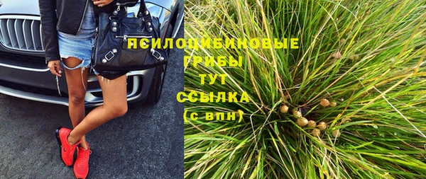 PSILOCYBIN Аркадак