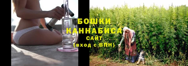 ПСИЛОЦИБИНОВЫЕ ГРИБЫ Арсеньев