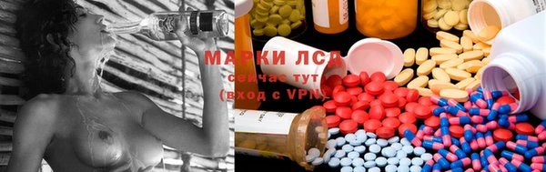 ПСИЛОЦИБИНОВЫЕ ГРИБЫ Арсеньев
